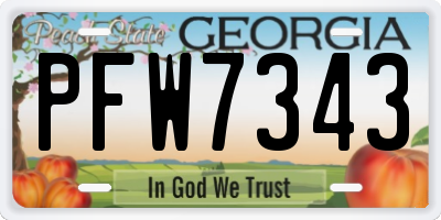 GA license plate PFW7343