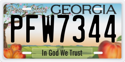 GA license plate PFW7344