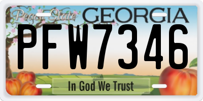 GA license plate PFW7346