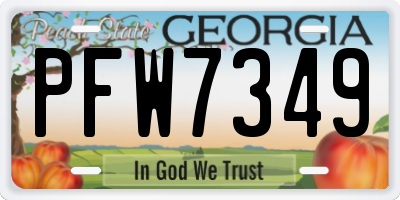 GA license plate PFW7349