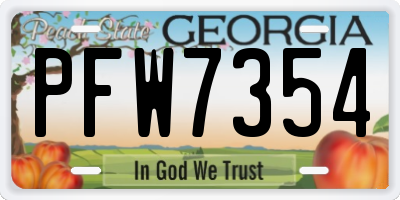 GA license plate PFW7354