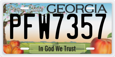 GA license plate PFW7357