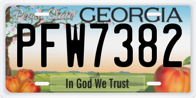 GA license plate PFW7382