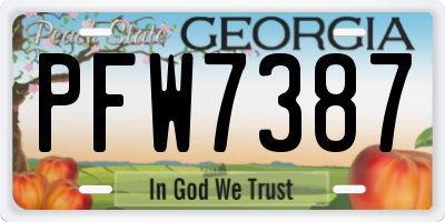 GA license plate PFW7387