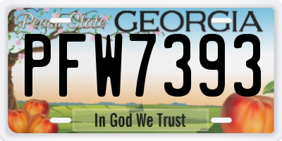 GA license plate PFW7393