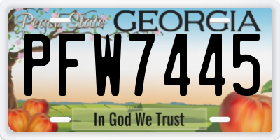GA license plate PFW7445