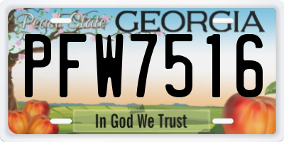 GA license plate PFW7516