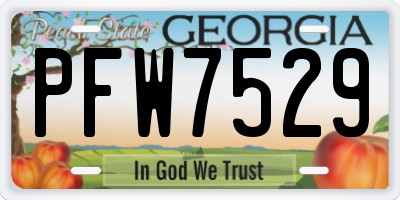 GA license plate PFW7529