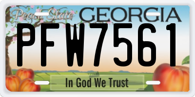 GA license plate PFW7561