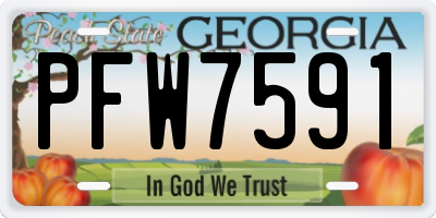 GA license plate PFW7591