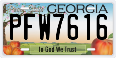 GA license plate PFW7616