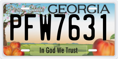 GA license plate PFW7631