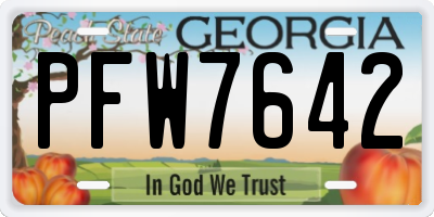 GA license plate PFW7642