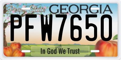 GA license plate PFW7650