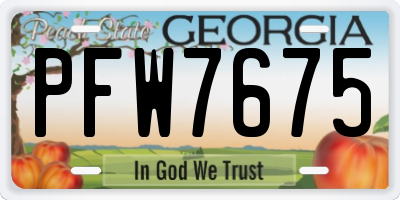 GA license plate PFW7675