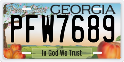 GA license plate PFW7689