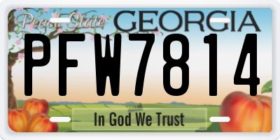 GA license plate PFW7814
