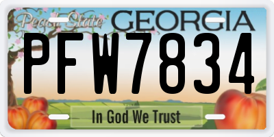 GA license plate PFW7834