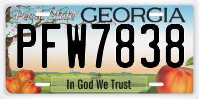 GA license plate PFW7838