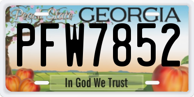 GA license plate PFW7852