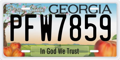 GA license plate PFW7859