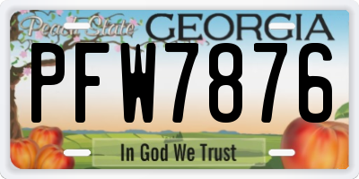GA license plate PFW7876
