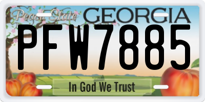 GA license plate PFW7885