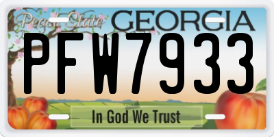 GA license plate PFW7933