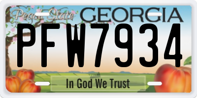 GA license plate PFW7934