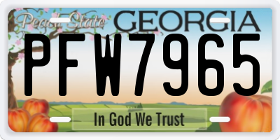 GA license plate PFW7965