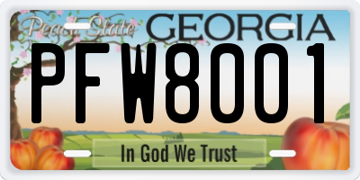 GA license plate PFW8001