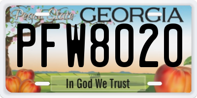 GA license plate PFW8020