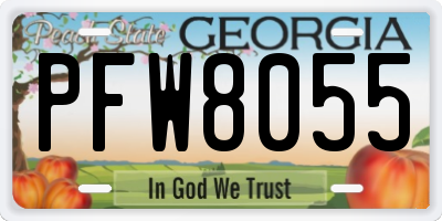 GA license plate PFW8055