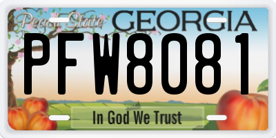 GA license plate PFW8081