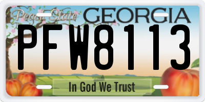 GA license plate PFW8113