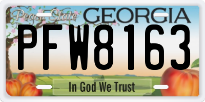 GA license plate PFW8163