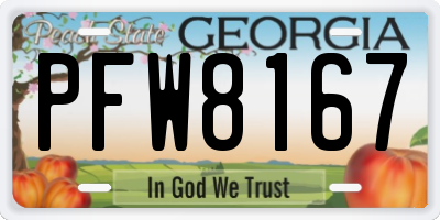 GA license plate PFW8167