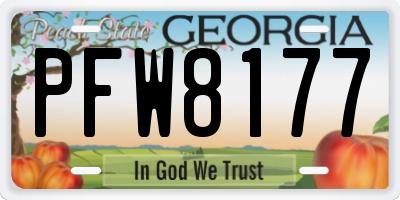 GA license plate PFW8177