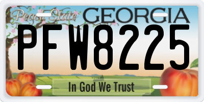 GA license plate PFW8225