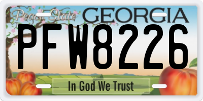 GA license plate PFW8226
