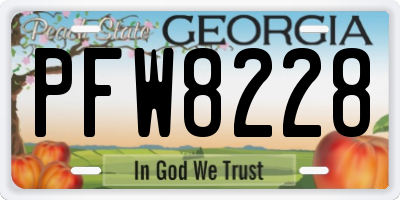 GA license plate PFW8228
