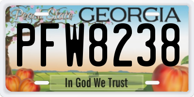 GA license plate PFW8238