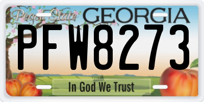 GA license plate PFW8273