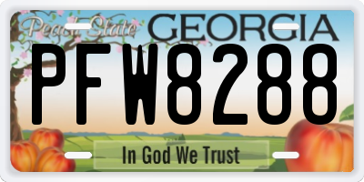 GA license plate PFW8288