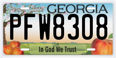 GA license plate PFW8308