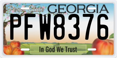 GA license plate PFW8376
