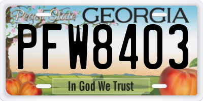 GA license plate PFW8403