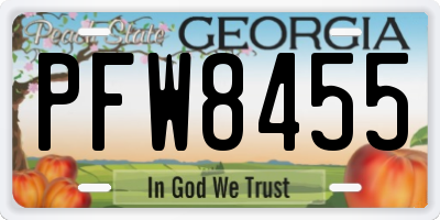 GA license plate PFW8455