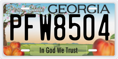 GA license plate PFW8504
