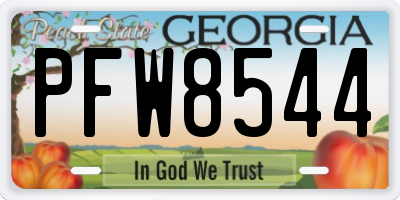 GA license plate PFW8544